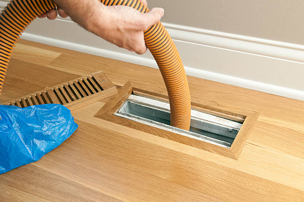 Best Local Air Duct Cleaning Services  in Union Park, FL